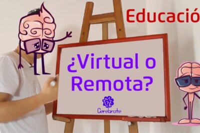 que efectos ha tenido la educacion remota en nuestros aprendizajes